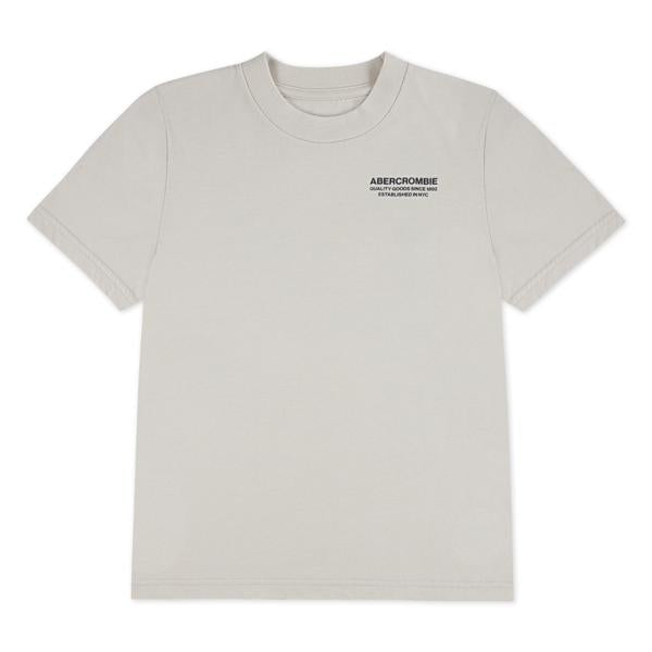 Abercrombie & Fitch -  Bank Shot Tee - Oatmeal