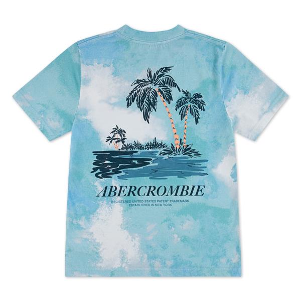 ABERCROMBIE & FITCH - Palm Springs Tee - White/green/blue